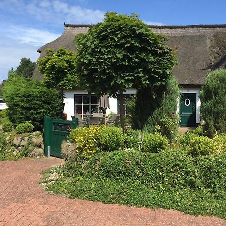 Birkenstrasse 10 Fischerhus Zingst Esterno foto